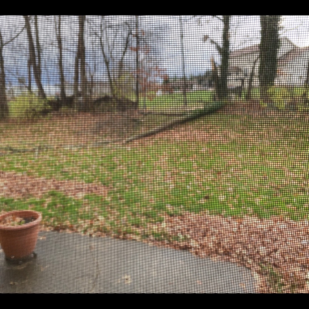 Meet your Posher, Judith